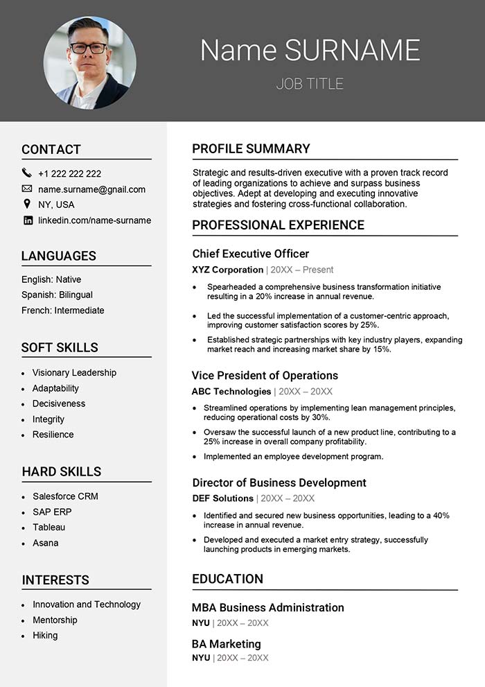 Executive Resume Sample Free Download Word Template